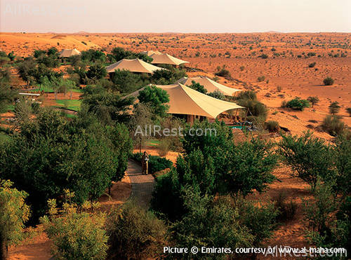 Al Maha Desert Resort & Spa 